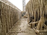 Полярная вибрация пришла — клев выключило, ушли греться