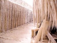 Полярная вибрация пришла — клев выключило, ушли греться