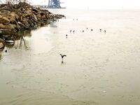 Полярная вибрация пришла — клев выключило, ушли греться