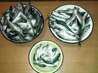 Короткий привет — выхожу в море и держу связь