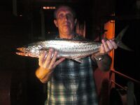 Охота за барракудой — быстрый пилькер и короткие паузы решают