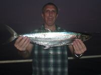 Конго — барракуда на рейде, хищник без компромиссов