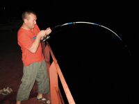 Тропическая ночь — каранксы на воблере у границы света, акулы воруют трофеи