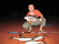 Тропическая ночь — каранксы на воблере у границы света, акулы воруют трофеи