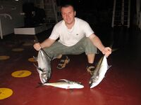 Тропическая ночь — каранксы на воблере у границы света, акулы воруют трофеи