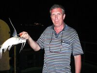 Сомики на кальмара — ничего хитрого, резина работает хуже, но берут