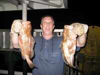 Progreso, Мексика — рейд щедрый: клев шёл ровно без лишних слов