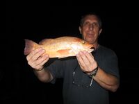 Progreso, Мексика — рейд щедрый: клев шёл ровно без лишних слов