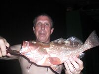 Рейд Веракрус, Мексика: каменный окунь на кальмара и короткие ступенчатые проводки