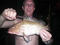 Рейд Веракрус, Мексика: каменный окунь на кальмара и короткие ступенчатые проводки