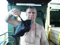 Карибы — чёрную рыбу не стали брать, «золотую» отпустили со словами из сказки