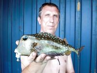 Карибы — чёрную рыбу не стали брать, «золотую» отпустили со словами из сказки