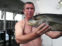 «Тунец» или нет: долгий вываживание, взял и помельче, попался «носорог» с мясом как у курицы