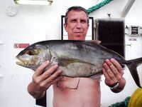 «Тунец» или нет: долгий вываживание, взял и помельче, попался «носорог» с мясом как у курицы