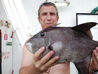 «Тунец» или нет: долгий вываживание, взял и помельче, попался «носорог» с мясом как у курицы