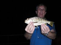 Небольшие по 150–300 г, но удовольствие: кусочки кальмара или мяса решают