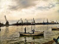 Бургас, цаца пошла: шпроты днём, а вечером подтянется и крупная рыба к ужину