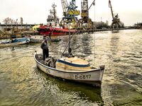 Бургас, цаца пошла: шпроты днём, а вечером подтянется и крупная рыба к ужину