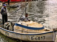 Бургас, цаца пошла: шпроты днём, а вечером подтянется и крупная рыба к ужину