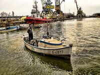 Бургас, цаца пошла: шпроты днём, а вечером подтянется и крупная рыба к ужину