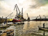 Бургас, цаца пошла: шпроты днём, а вечером подтянется и крупная рыба к ужину