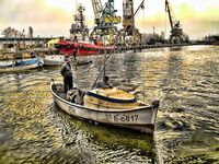 Бургас, цаца пошла: шпроты днём, а вечером подтянется и крупная рыба к ужину