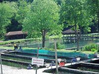 Когда в море затишье: форель и осётр на платнике в горах Странджа, река Катун