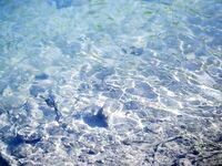 Когда в море затишье: форель и осётр на платнике в горах Странджа, река Катун