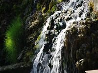 Когда в море затишье: форель и осётр на платнике в горах Странджа, река Катун