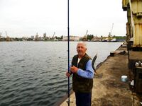 Ставрид пришёл в Бургас: кто умеет берёт на самодур, остальным рынок в помощь