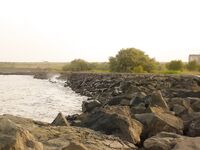 Жезл у Сарафово: три чернокопа до смены ветра, затем сети и тишина на точке