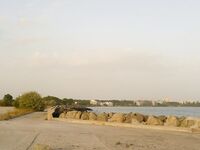 Жезл у Сарафово: три чернокопа до смены ветра, затем сети и тишина на точке