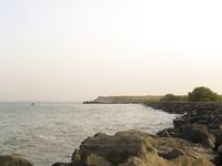 Жезл у Сарафово: три чернокопа до смены ветра, затем сети и тишина на точке