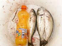 Жезл у Сарафово: три чернокопа до смены ветра, затем сети и тишина на точке