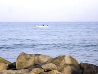 Жезл у Сарафово: три чернокопа до смены ветра, затем сети и тишина на точке