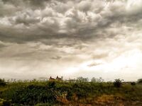Жезл, весенний ливень и град: вышел на луфаря со стальной поводкой, природа накрыла