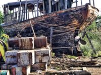 Царево и бомбарда: шноркель и гарпун, у берега трава и кефаль на мелководье