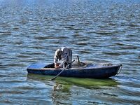 Царево и бомбарда: шноркель и гарпун, у берега трава и кефаль на мелководье
