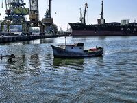 Царево и бомбарда: шноркель и гарпун, у берега трава и кефаль на мелководье