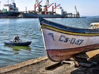 Царево и бомбарда: шноркель и гарпун, у берега трава и кефаль на мелководье