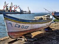 Царево и бомбарда: шноркель и гарпун, у берега трава и кефаль на мелководье