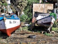 Царево и бомбарда: шноркель и гарпун, у берега трава и кефаль на мелководье