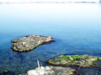 Бургас, тонущая бомбарда и «хаймани»: опоздал к луфарю, только фото с Фороса