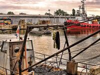 Рыбный рынок: ставрида ушла, тянули мелочь, погода пасмурная под луфаря