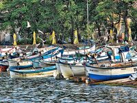 Поморие, фотосессия вместо луфаря: Пасха, новая камера и мелкая ставрида на самодур