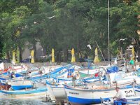 Поморие, фотосессия вместо луфаря: Пасха, новая камера и мелкая ставрида на самодур