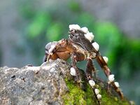 Поморие, фотосессия вместо луфаря: Пасха, новая камера и мелкая ставрида на самодур