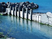 Подводный канал к солницам: вода идёт к отстойникам, бычки держатся у струи