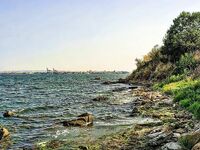 Крайморие и мыс Форос: улитки рапан, сети и ожидание осенней рыбы у слива Мандры