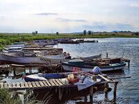 Крайморие и мыс Форос: улитки рапан, сети и ожидание осенней рыбы у слива Мандры